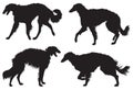 Borzoi Ã¢â¬â Russian Wolfhound Dog Breed Silhouettes